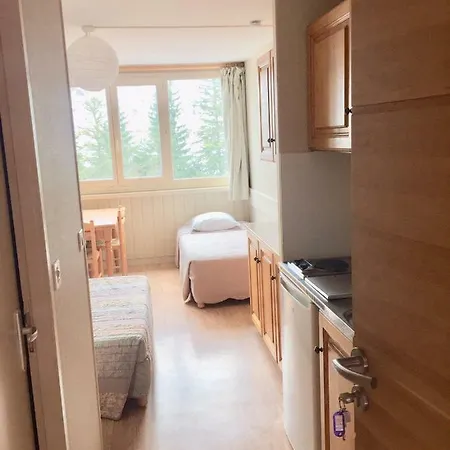 Resid Bec De L Aigle 21 - Le Lioran Apartment *