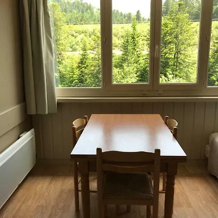 Resid Bec De L Aigle 21 - Le Lioran Apartment Laveissiere